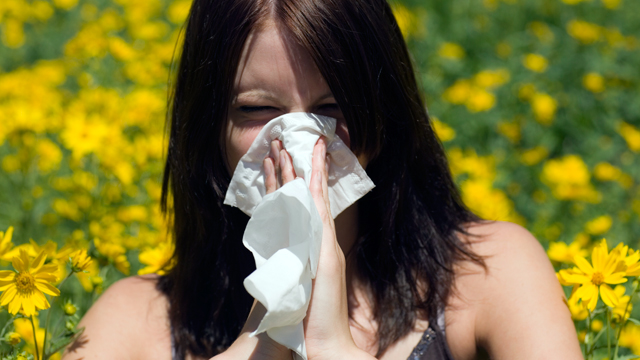 How to Outsmart Seasonal Allergies─Naturally