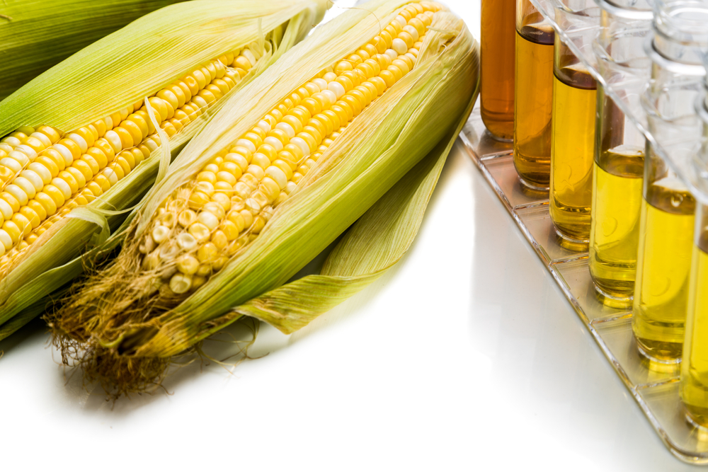 Is High Fructose Corn Syrup Slowing You Down?