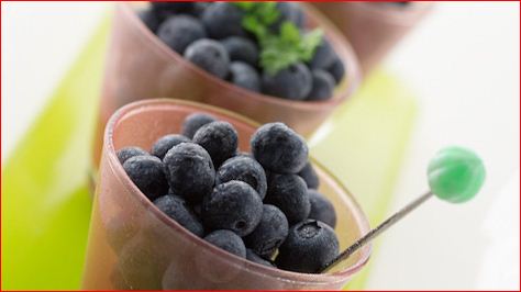 Protein Recipes blueberry