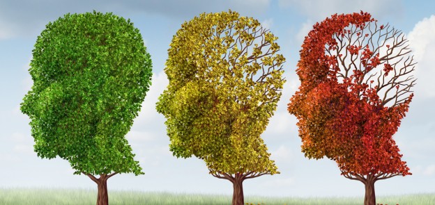 Alzheimers-Disease-Reduce-Your-Risk