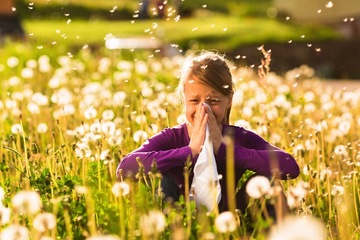 Avoid-Seasonal-Allergies-With-Natural-Cures