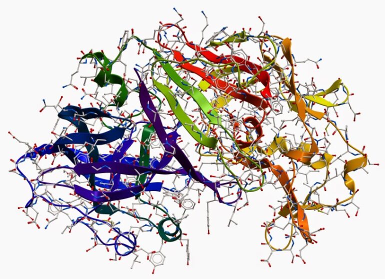 Digestive-Enzymes