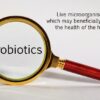 Magnifying glass held over a dictionary definition of probiotics